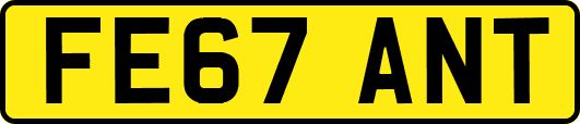FE67ANT