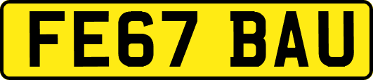 FE67BAU