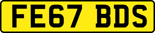 FE67BDS
