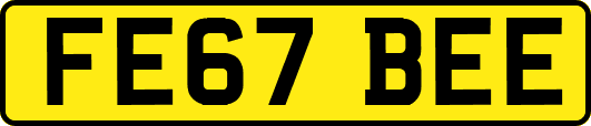 FE67BEE