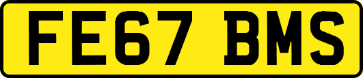 FE67BMS