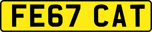 FE67CAT