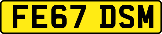 FE67DSM