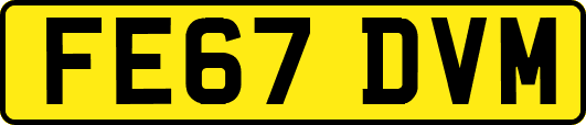 FE67DVM