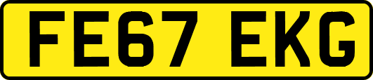 FE67EKG