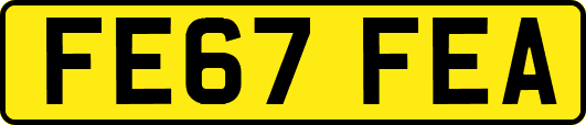 FE67FEA