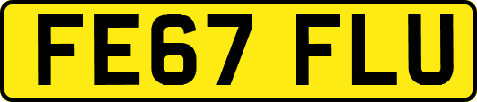 FE67FLU