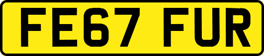 FE67FUR
