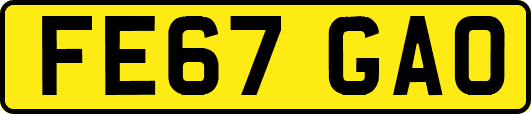 FE67GAO