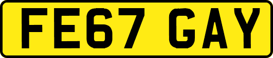 FE67GAY