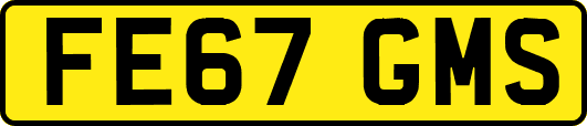 FE67GMS
