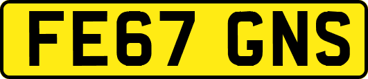 FE67GNS