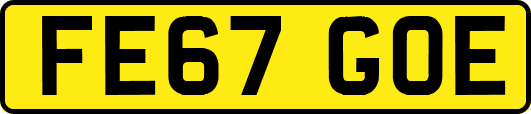 FE67GOE