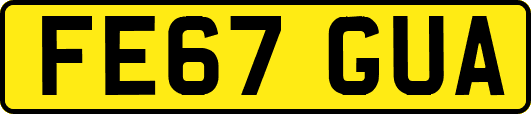 FE67GUA