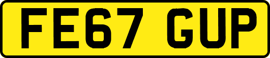 FE67GUP