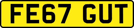 FE67GUT