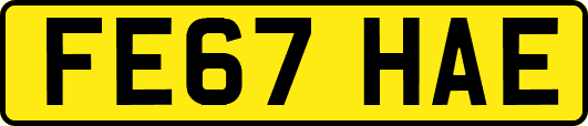 FE67HAE