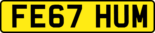 FE67HUM