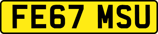 FE67MSU