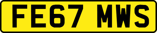 FE67MWS