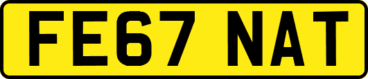 FE67NAT