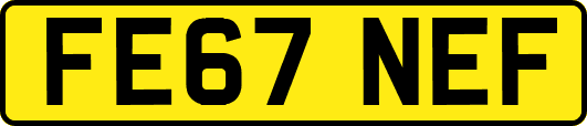 FE67NEF