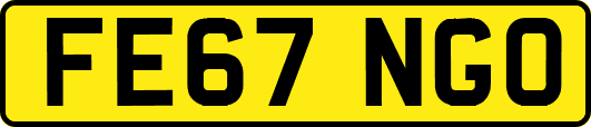 FE67NGO