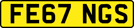 FE67NGS