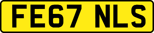 FE67NLS