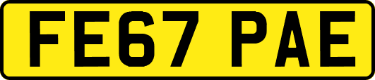 FE67PAE