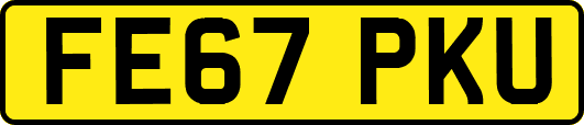 FE67PKU