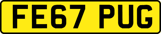 FE67PUG