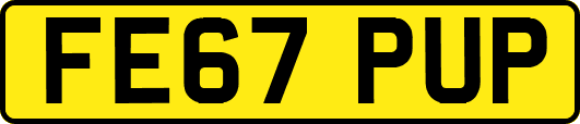 FE67PUP