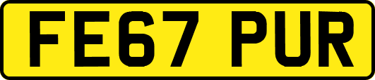 FE67PUR
