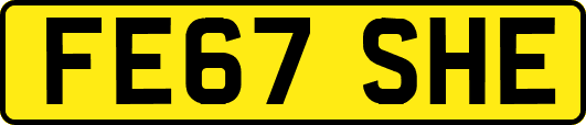 FE67SHE