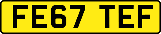 FE67TEF