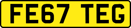 FE67TEG