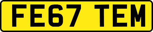 FE67TEM