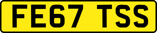 FE67TSS