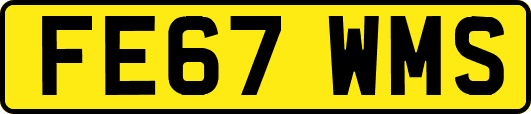 FE67WMS