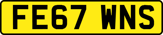 FE67WNS