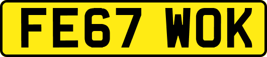 FE67WOK