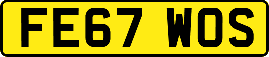 FE67WOS