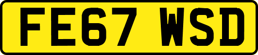 FE67WSD
