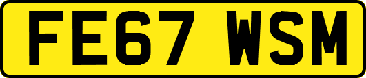 FE67WSM