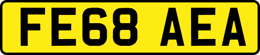 FE68AEA