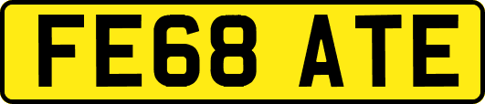 FE68ATE