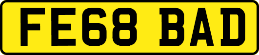 FE68BAD