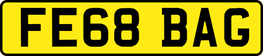 FE68BAG