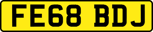 FE68BDJ